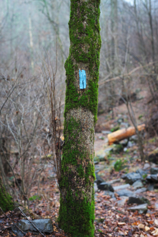 Illustration for article titled Hiking - Shenandoah National Park